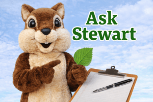 Ask Stewart – What’s going on in 2026?