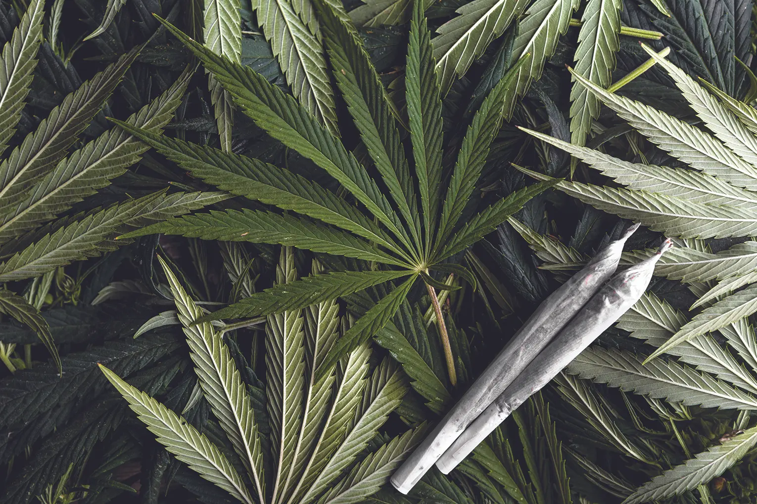 Spanberger marijuana changes raise revenue questions