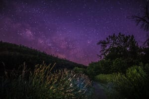 Shenandoah River State Park announces new Nights in Nature Series