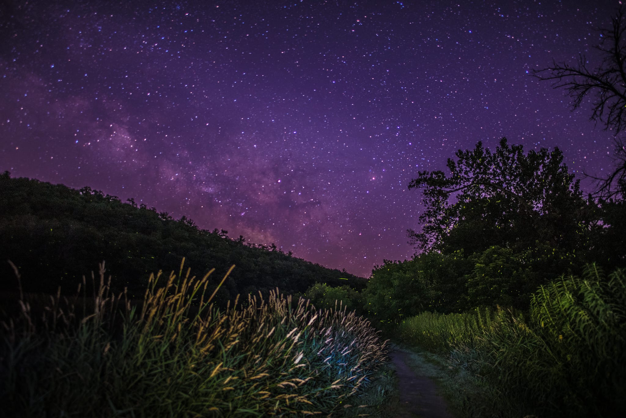 Shenandoah River State Park announces new Nights in Nature Series