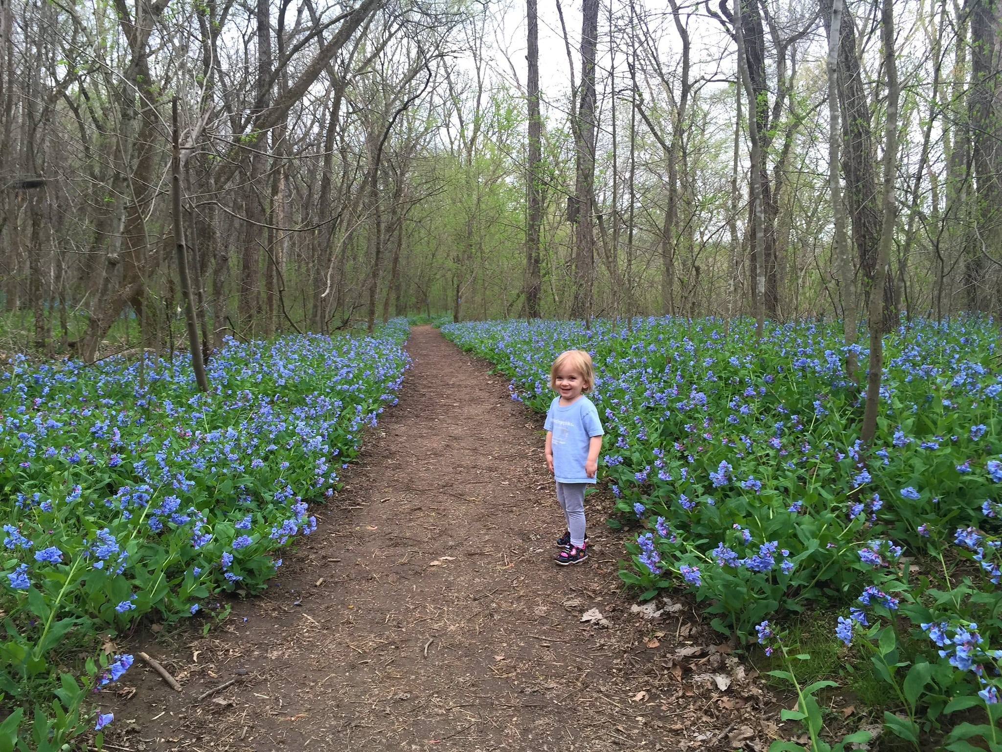 Shenandoah River State Park hosts Bluebell Trail cleanup May 2