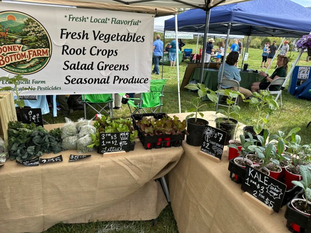 Scenes from Browntown, Virginia’s 23rd Annual Redbud Festival Saturday 4/18/26 with car show, duck race, live music, food, crafts and more. Photos by Dan McDermott WarrenCountyVa.com