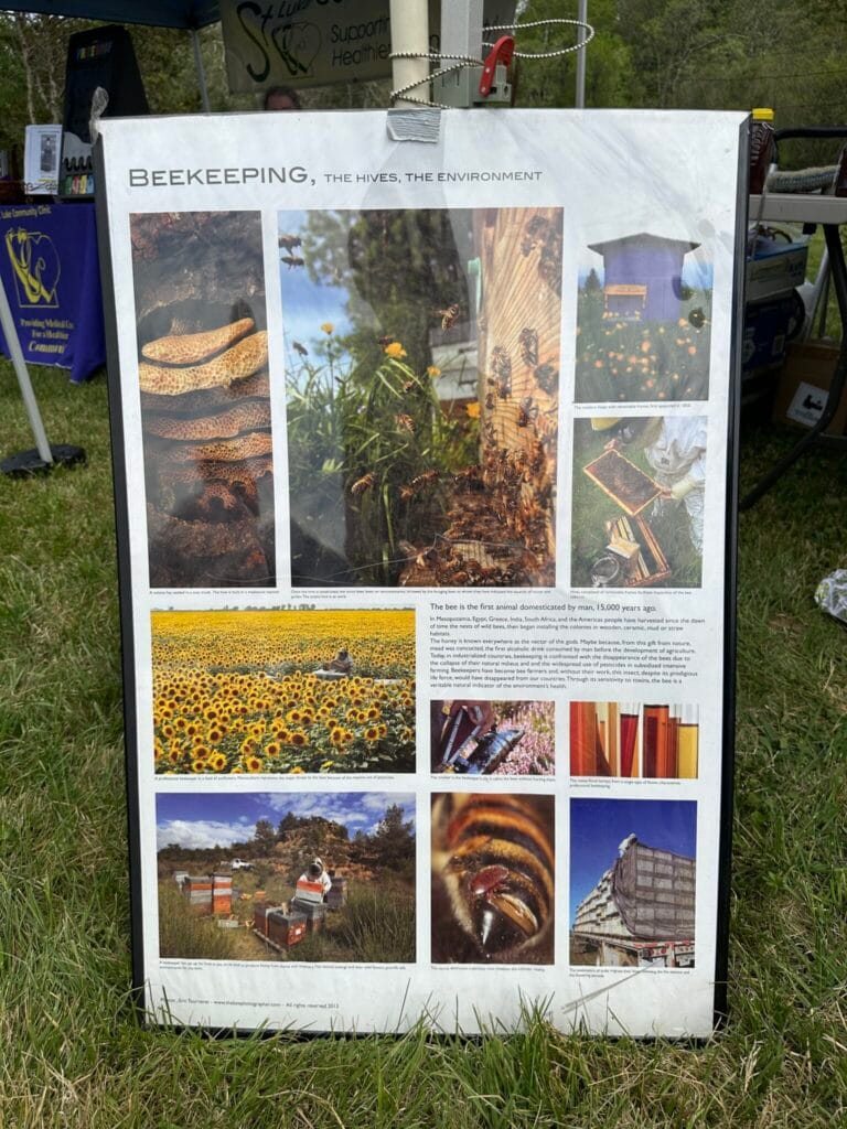 Scenes from Browntown, Virginia’s 23rd Annual Redbud Festival Saturday 4/18/26 with car show, duck race, live music, food, crafts and more. Photos by Dan McDermott WarrenCountyVa.com