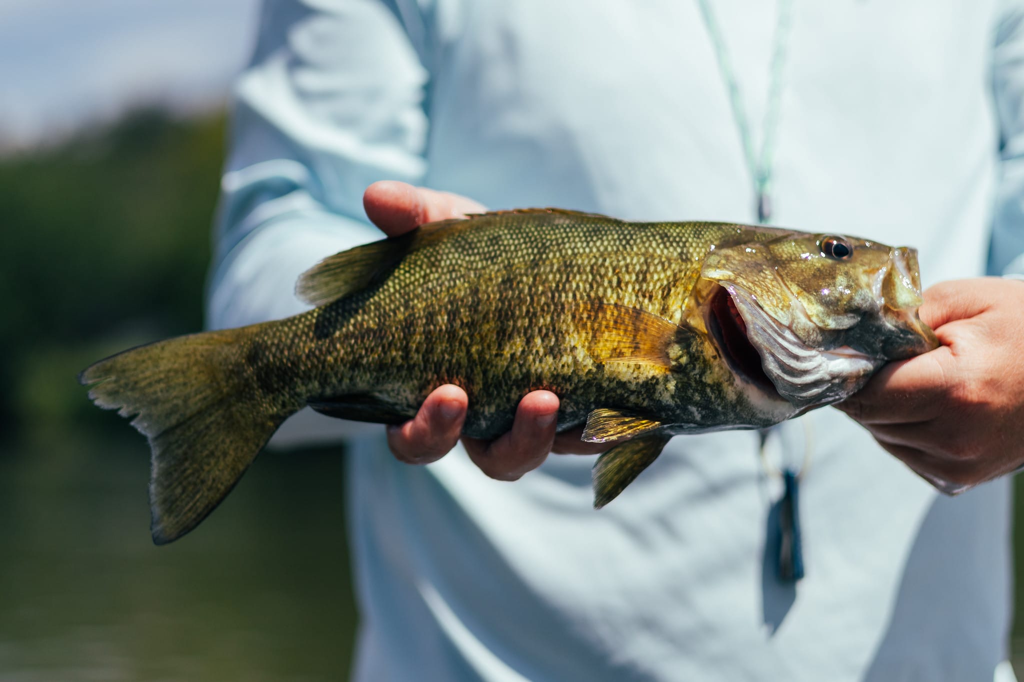 Shenandoah River State Park launches South Fork Fly Fishing Tournament
