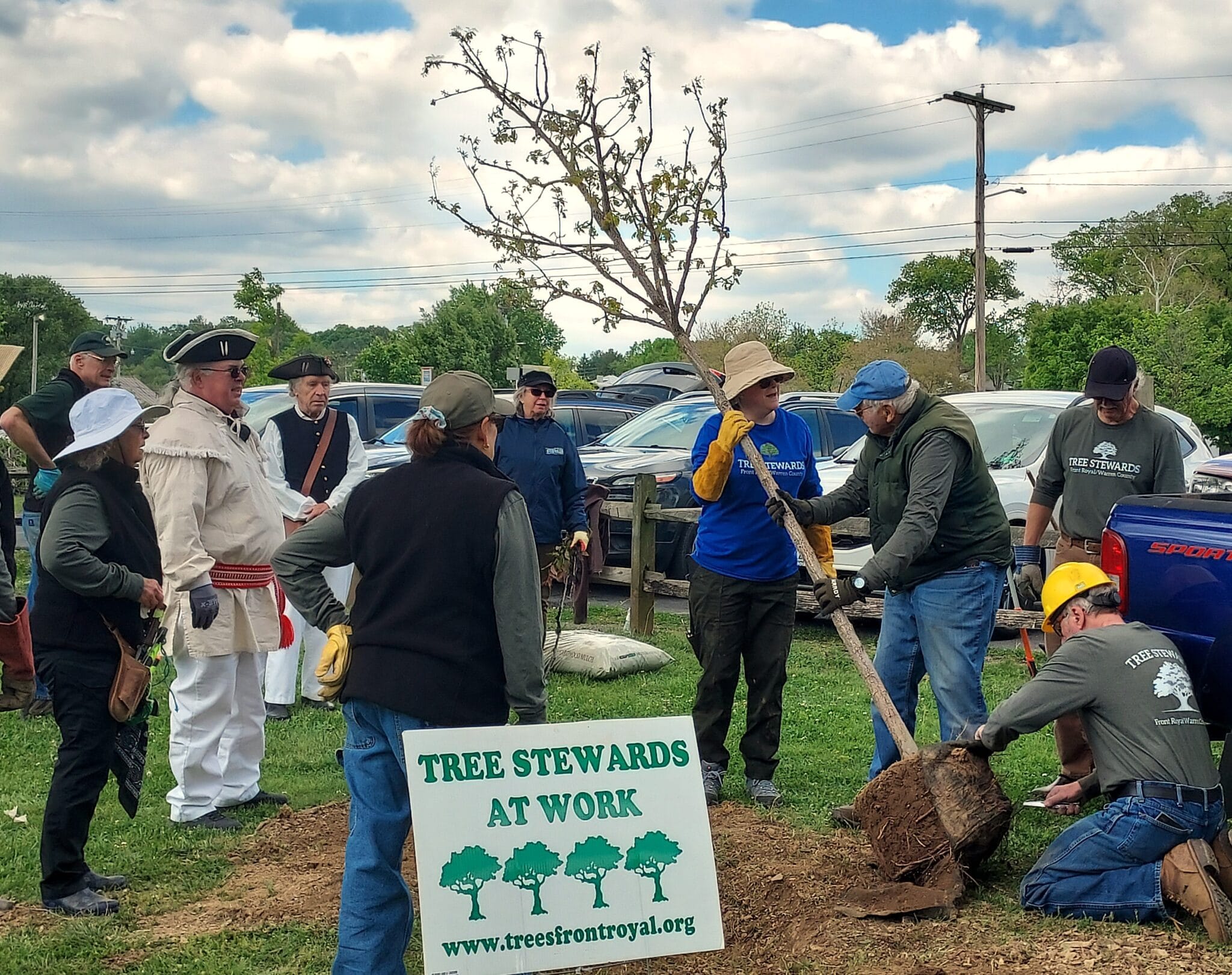 SAR chapter and Tree Stewards plant Liberty Tree at Lions Community Park