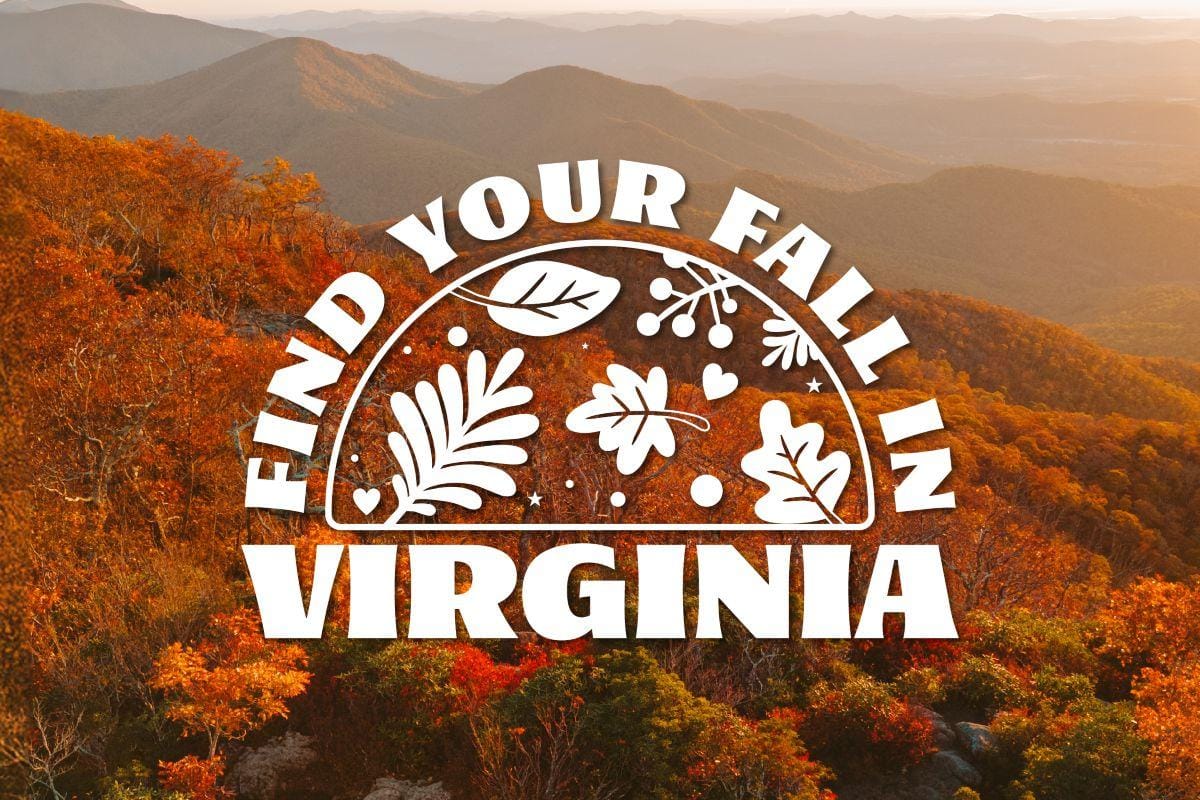 Virginia Tourism Launches New Fall Travel Site With Foliage Maps, Trip Ideas