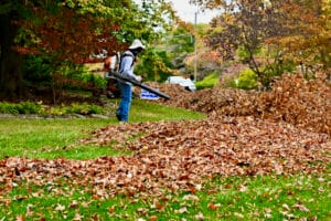 Legislators didn’t allow local bans of gas-powered leaf blowers. Va. localities are doing it anyway.