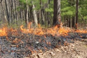 USDA advances Roadless Rule repeal; advocates, lawmakers say it puts 400,000 acres in Va. at risk