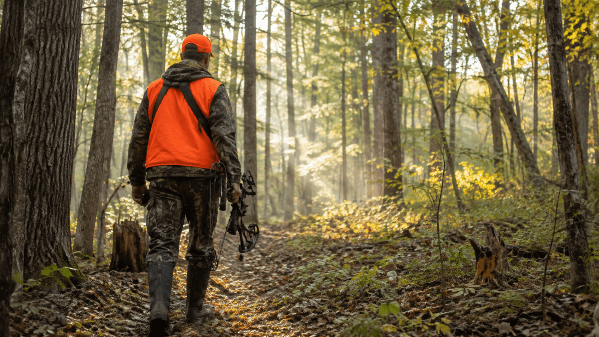 Virginia State Parks Opens Hunting Access Sign-Ups, Adds New Opportunities