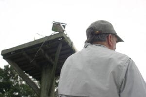Chesapeake Bay ospreys see worst breeding season on record