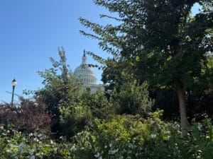 US Senate leaves nation’s capital in advance of midterms with much still undone