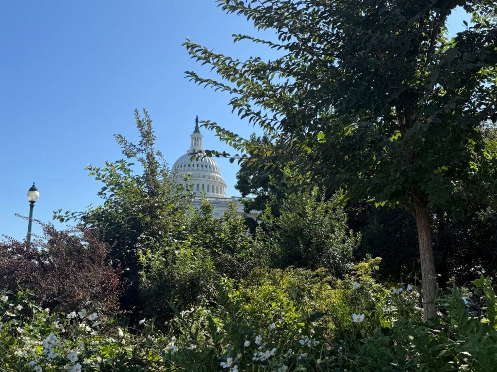 The U.S. Capitol building in Washington, D.C., on Sept. 15, 2026. (Photo by Jennifer Shutt/States Newsroom)
